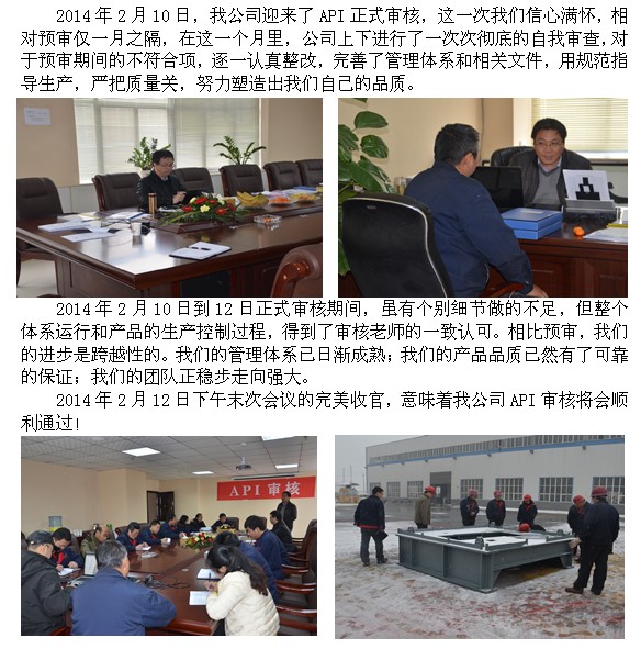 API正式审核